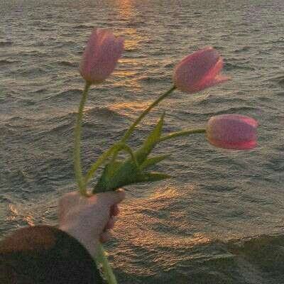 穆迪评级：尽管航运受阻且部分生产资产受损，卡塔尔能源公司的信贷质量依然保持稳健。